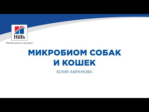 Видео: Вебинар на тему: "Микробиом собак и кошек". Лектор - Юлия Абрамова