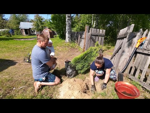 Видео: ВНЕЗАПНО ПРИЕХАЛ В ДЕРЕВЕНСКИЙ ДОМ А ТАМ. ДОЛГОЖДАННАЯ ВСТРЕЧА С СЕМЬЁЙ. ДЕРЕВЕНСКАЯ ЖИЗНЬ.
