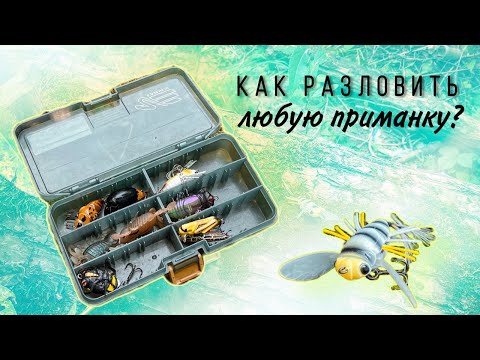 Видео: Как разловить любую приманку?