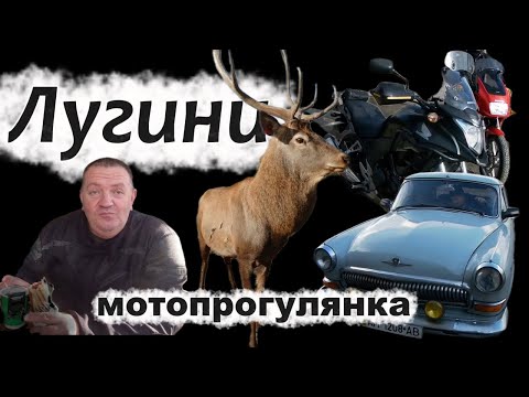 Видео: Лугини. Осіння мотопрогулянка по Півночі Коростенського району