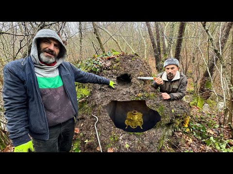 Видео: Мы открываем футляр с резными сокровищами римской эпохи!!!