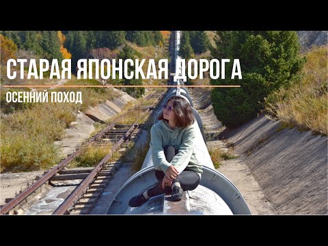 Видео: Старая японская дорога | Подъем по трубе закрыт | Осенний поход