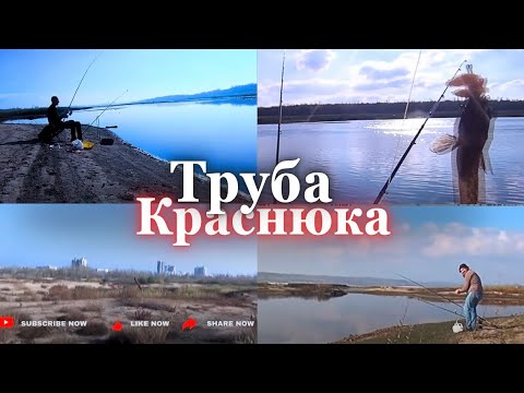 Видео: ТРУБА р. Сухая Московка. Рыбалка с друзьями. 02.11.25 г.