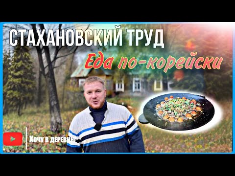 Видео: Работа на хуторе у столетнего дома. Куриные сердечки по-корейски на садже #хочувдеревню #садж