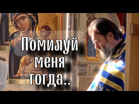 Видео: Суетность - страшный враг духовной жизни. Отец Андрей Ткачёв