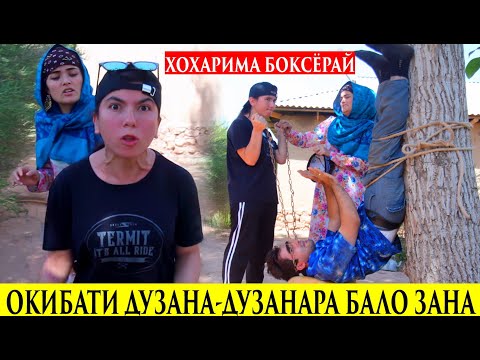 Видео: Коша_Кайснглш Дор Кашид. Бо Апама Мезани ха Кошлафка 2020