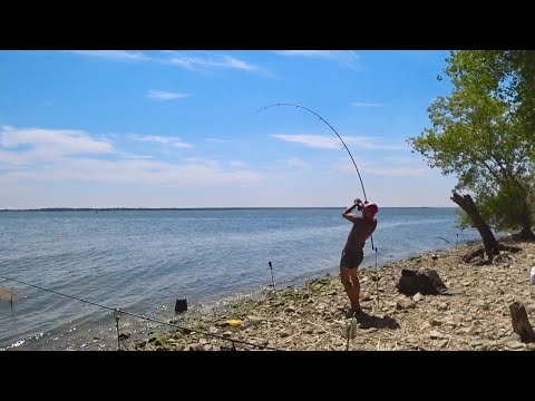 Видео: ❌80 КГ И ЕГО НЕ ОСТАНОВИТЬ рыбалка с ночёвкой на сазана