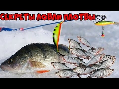 Видео: СЕКРЕТЫ ловли плотвы зимой на мормышку со льда