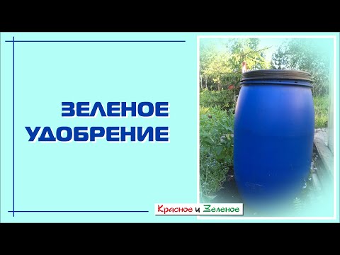 Видео: Зеленое удобрение без запаха. Отличная подкормка. Проверенный рецепт!