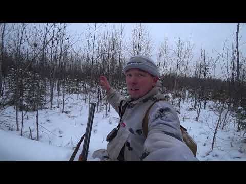 Видео: Иж-27 стрельба по лосю на 100м.Бобика порвали.Лебедка нас спасла.2 часть.