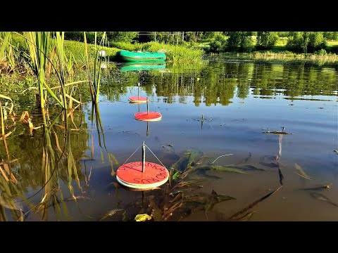 Видео: КАКИЕ КРУЖКИ ЛОВЯТ ЛУЧШЕ? ЩУКА НА ОГРУЖЕНЫЕ И НЕ ОГРУЖЕНЫЕ КРУЖКИ. Рыбалка на кружки.