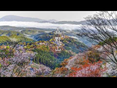 Видео: Ёсино: Сакура 🌸 Тысячи деревьев и рёкан | Нара | Хоункан