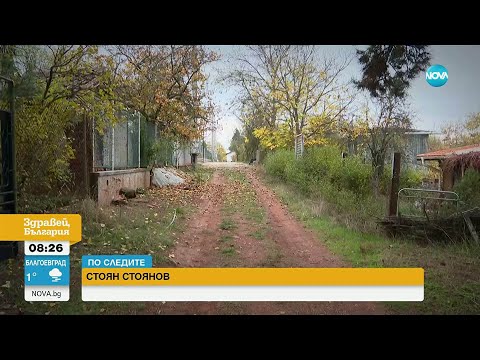 Видео: Професия лъжесвидетел: Как срещу 100 лв. може да участваш в кражба на имоти за милиони