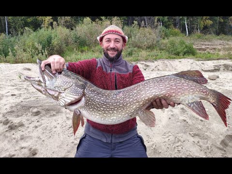 Видео: Рыбалка на нижнем течении реки Енисей.Трофейная щука. Теплоход Матросов. Казачинский порог.