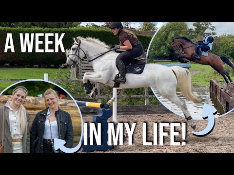 Видео: НЕДЕЛЯ ИЗ МОЕЙ ЖИЗНИ — Езда, работа, планирование!