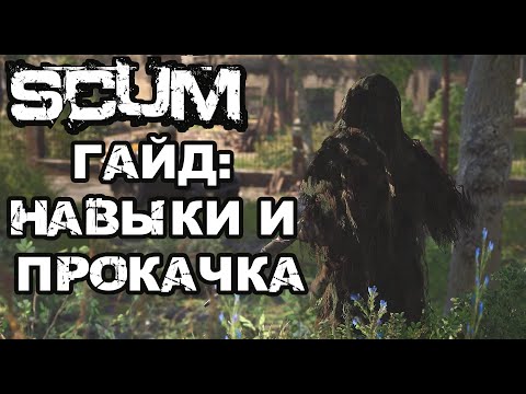 Видео: SCUM | (0,5) ГАЙД ДЛЯ НОВИЧКОВ, НАВЫКИ И ПРОКАЧКА ПЕРСА!