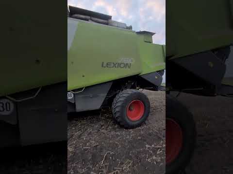 Видео: Жнива затяглися