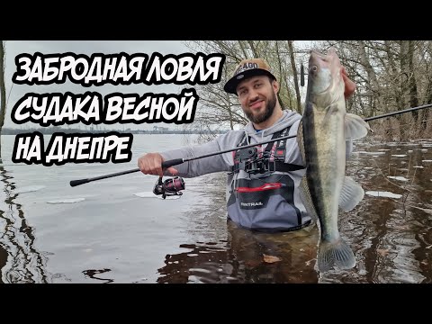 Видео: Забродная ловля судака на реке Днепр. Джиг весной. Рыбалка в апреле.