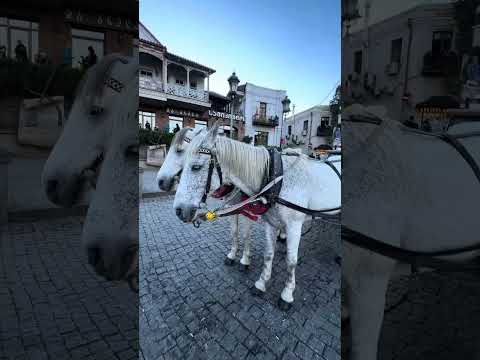 Видео: Прогулка в старом городе Тбилиси ,убегаем от цыганок!!!😀We’re walking around the old city of Tbilisi