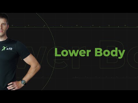 Видео: Тренировка на нижнюю часть тела Lower Body