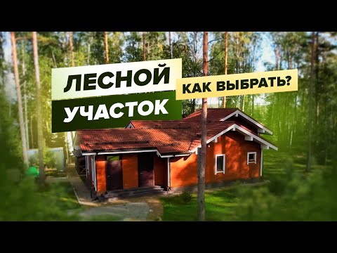 Видео: Как выбрать лесной участок для загородного дома