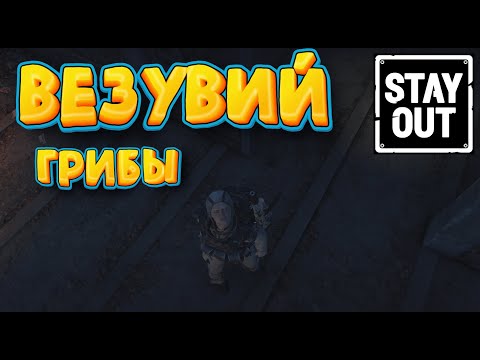 Видео: ☢ ВЕЗУВИЙ. Фарм на Вулканических грибах.    #stay_out​ #stalker_online​  #фарм