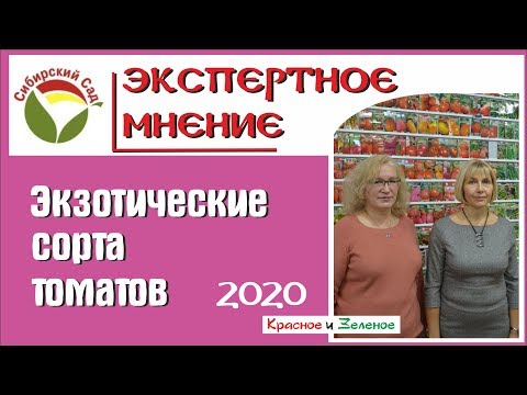 Видео: Экзотические томаты от Сибирского сада. Новинки и хиты