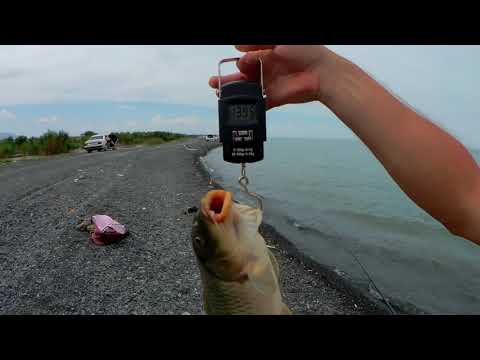 Видео: Рыбалка на фидер- озеро Алаколь, Ушарал, Казахстан