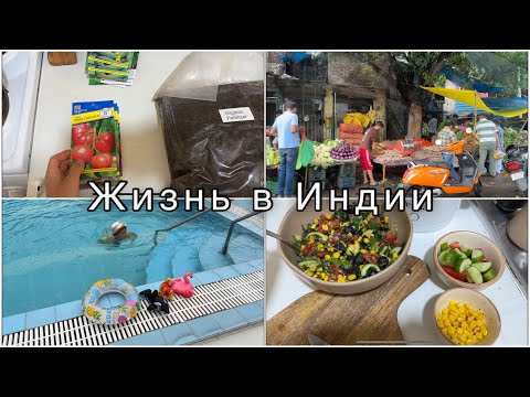 Видео: Влог. Веганские рецепты | Будни в Индии
