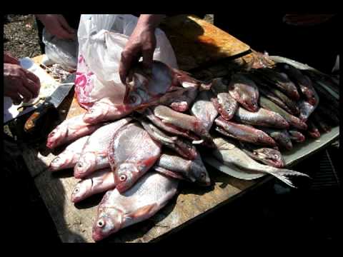 Видео: Любимый Приозерск