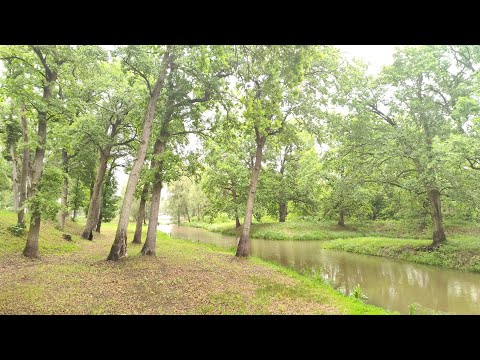 Видео: Сделан в С.С.С.Р в прямом эфире! Воскресенье. Местечко Наровля.