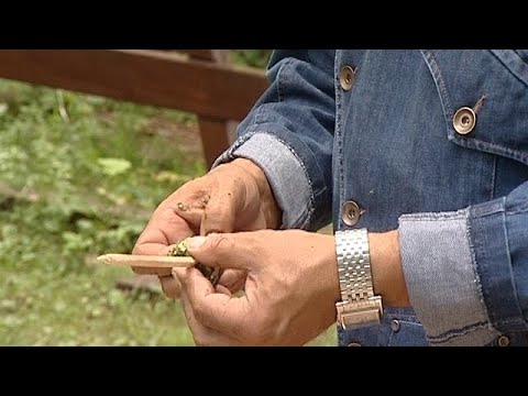Видео: Перепелки, фаршированные бараниной. Шашлык из сыра