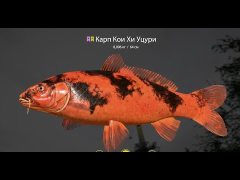 Видео: Русская рыбалка 4 !!!