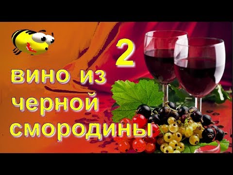 Видео: Домашнее вино из черной смородины (часть 2)