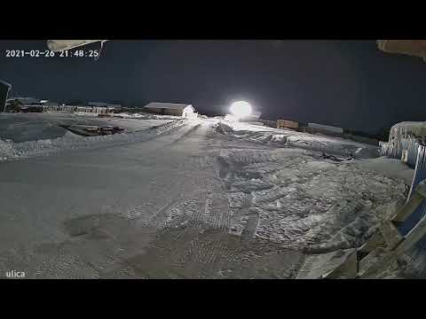 Видео: Волки напали на собак в селе Вотча/ видео не для слабонервных