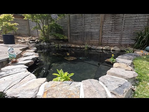 Видео: Потрясающая реконструкция и преображение пруда! 😎😀😍😘