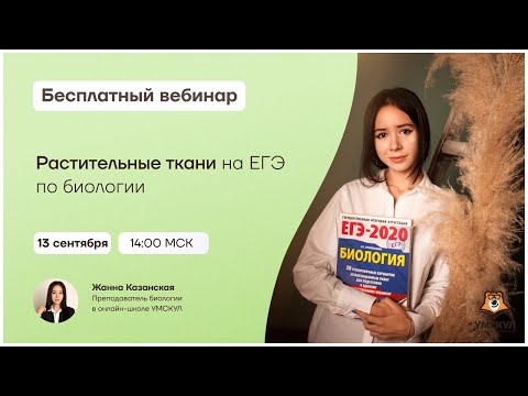 Видео: Растительные ткани на ЕГЭ по биологии | Биология ЕГЭ | Умскул