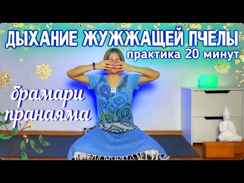 Видео: Дыхание жужжащей пчелы | брамари пранаяма | дыхание черной пчелы | йога дыхательная практика 20минут