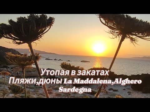 Видео: 3 шикарных пляжа Ла Маддалены для встречи заката,что о них нужно знать#сардиния #влог #отдыхвиталии