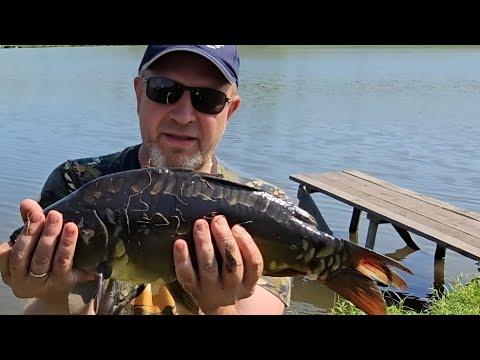 Видео: Я его поймал.Первый карп в жизни.