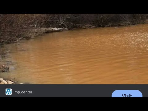 Видео: Приманка для ловли краппи в мутной воде… (то, что я использую)
