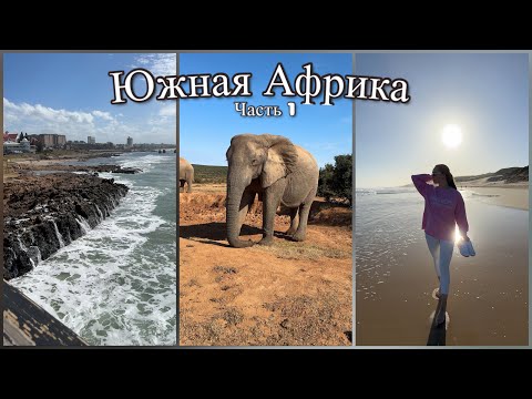 Видео: Vlog: South Africa Часть 1 Путешествие в Южную Африку, Претория и Порт Элизабет