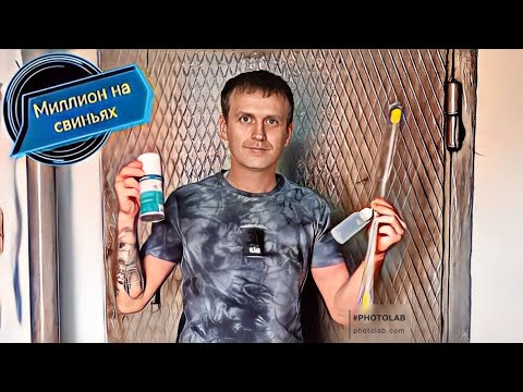 Видео: ‼️Как искусственно осеменить свиноматку‼️