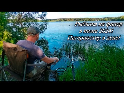 Видео: РЫБАЛКА НА ФИДЕР В ИЮЛЕ 2024!ПАТЕРНОСТР В ДЕЛЕ!