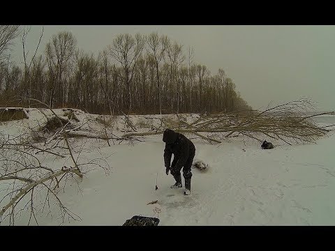 Видео: КРОКОДИЛ СХВАТИЛ!!!СЕЙЧАС ПОМОГУ ВЫТАЩИТЬ МОНСТРА !!! Килограммовые окуни!Трофейная Рыбалка Раздача.