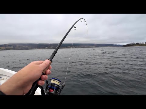 Видео: Пошла ЖАРА на Донку! Проверяю КРАБОЛОВКУ и ловлю на донку в Норвегии