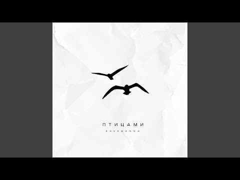 Видео: Птицами