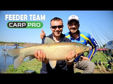 Видео: Ловля белого амура.Feeder Team Carp Pro + FFM (спец выпуск)