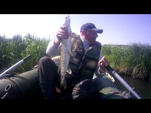 Видео: Рыбалка в Беларуси. Сезон набирает обороты. Хищник радует обилием поклёвок. Выпуск 134