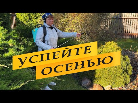 Видео: Обязательная обработка декоративных растений.
